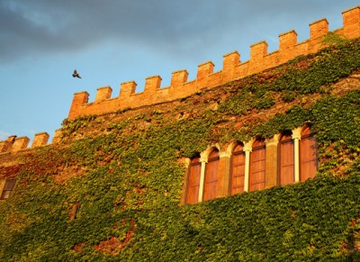 castello ginori querceto vacanze in castello toscana