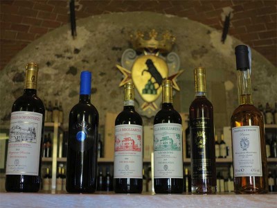 castello di montozzi vini