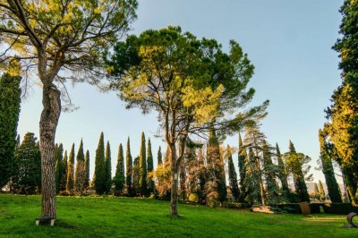 giardino villa betteloni