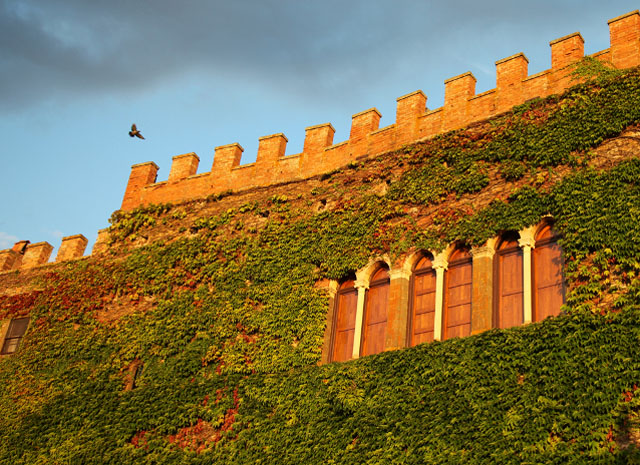Foto 4 dimora Castello Ginori di Querceto