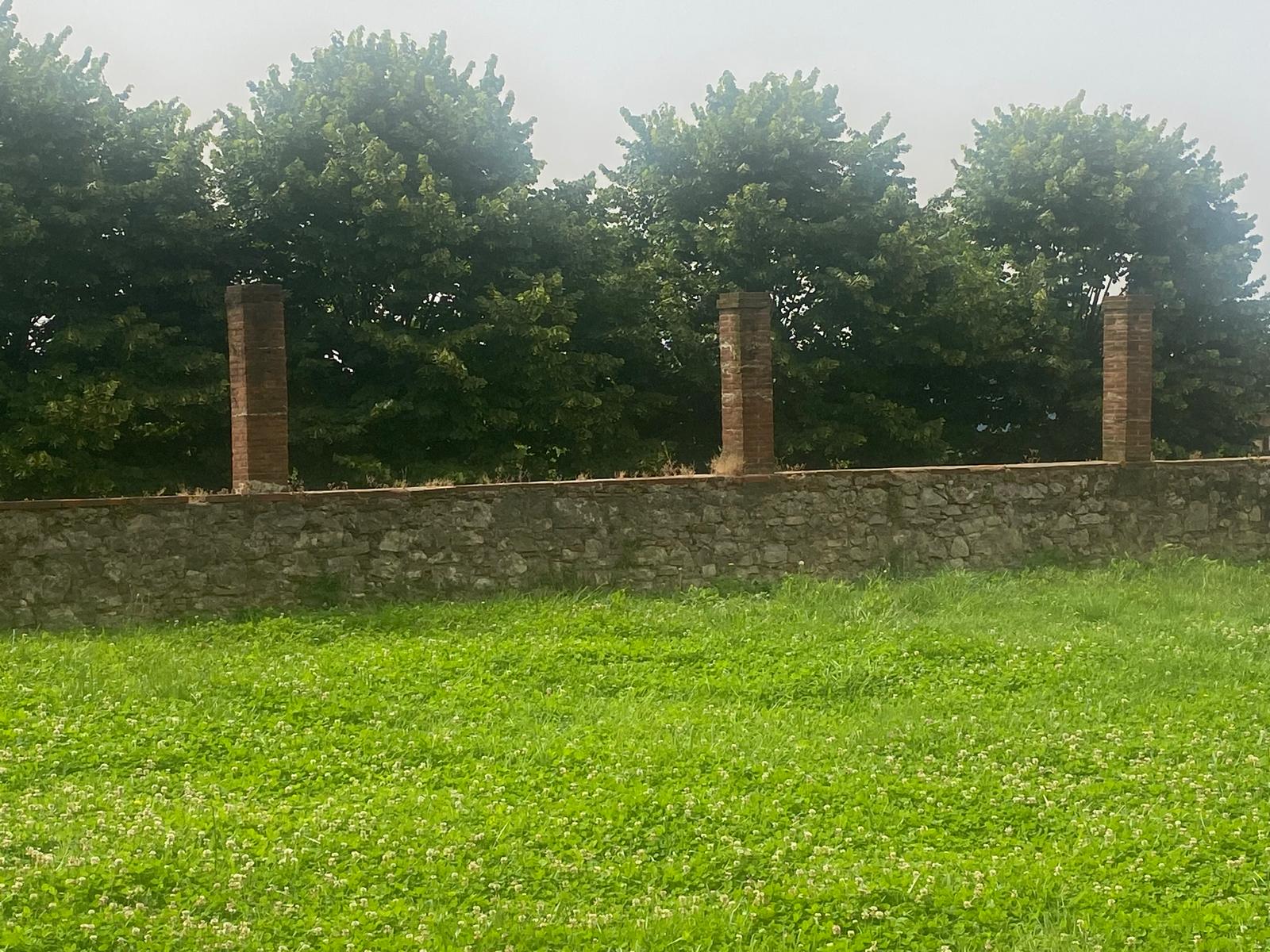 Foto 4 dimora Villa Clerici Triklinea (Malpigli a Loppeglia sulle Alpi Apuane)