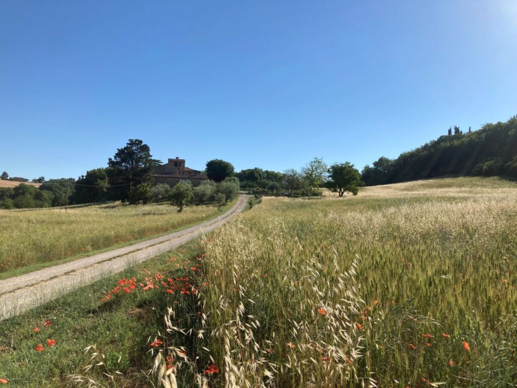 PODERE LA PAOLINA